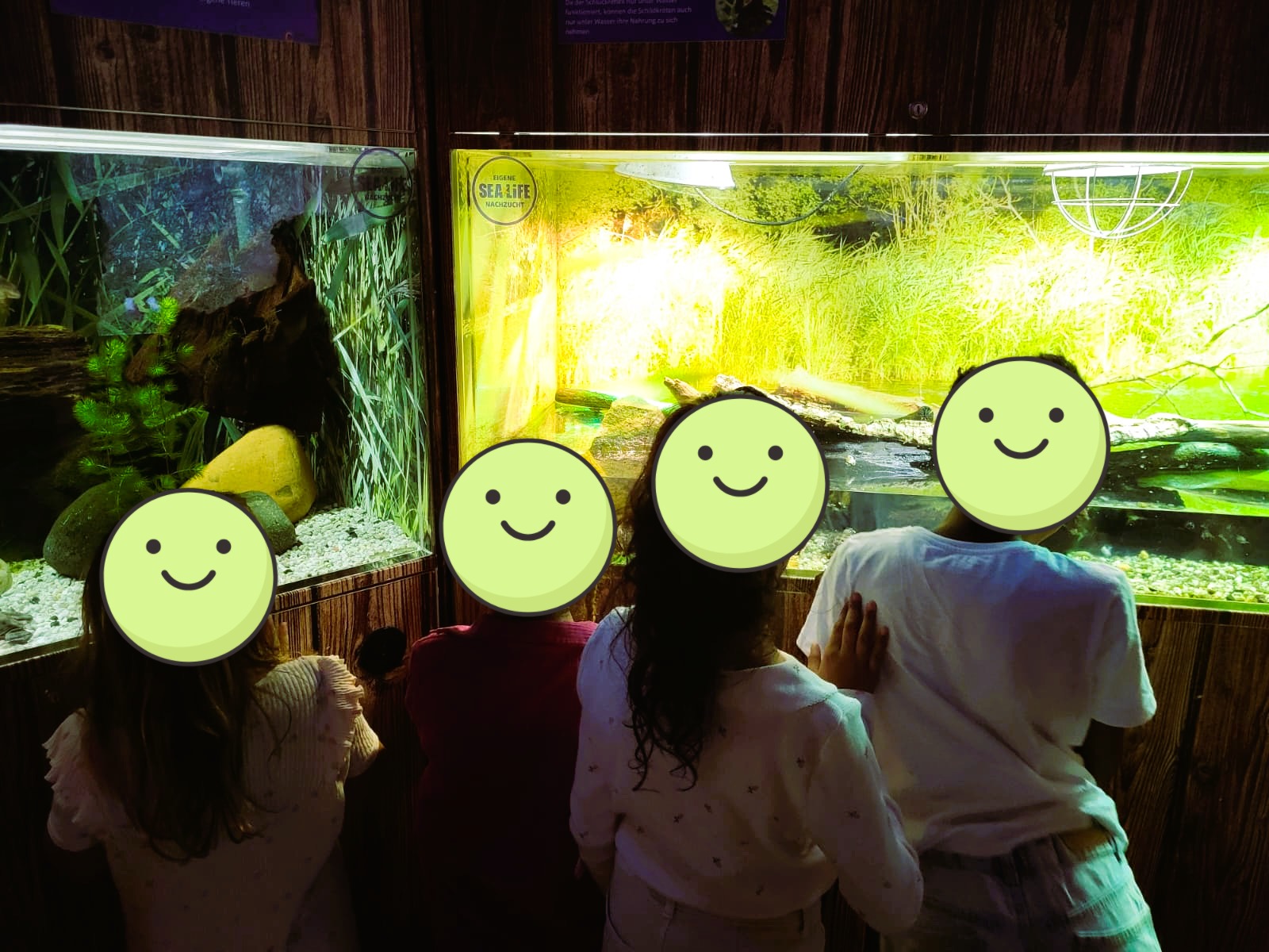 SeaLife5.jpg